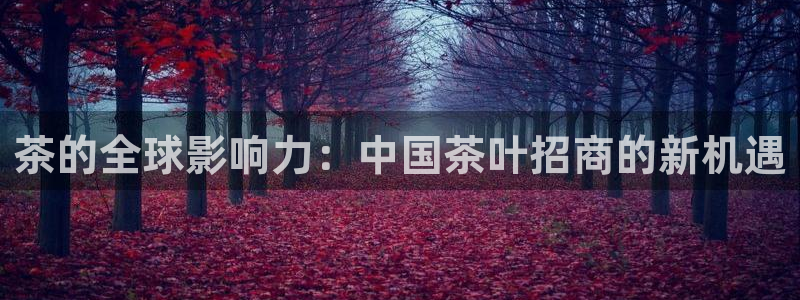 鸿运信投是平台
