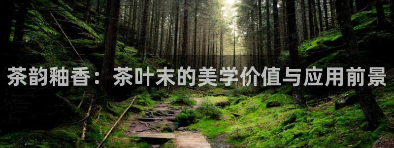 鸿运投资平台是什么