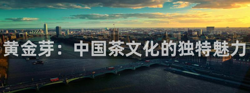 鸿运华宁技术平台