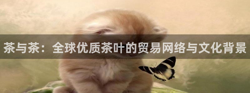 鸿运赌场平台