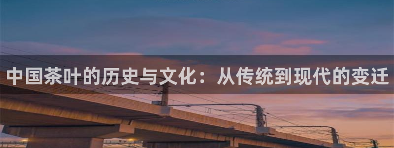 鸿运国际平台