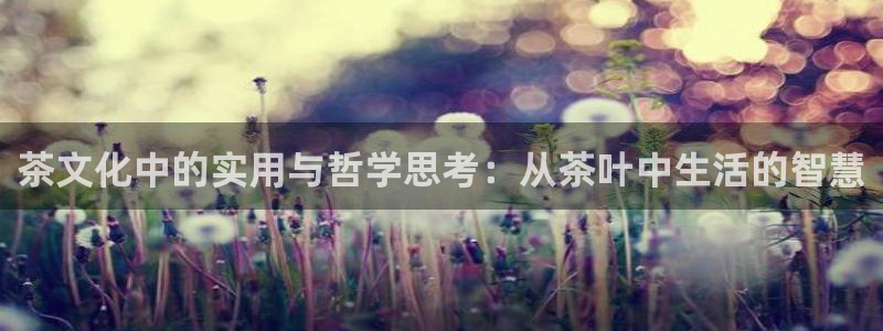 鸿运菜瞟平台