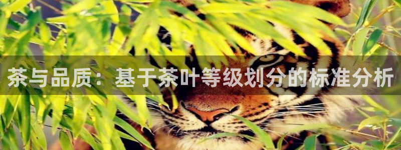 鸿运美食团购平台