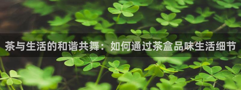 鸿运购是什么平台