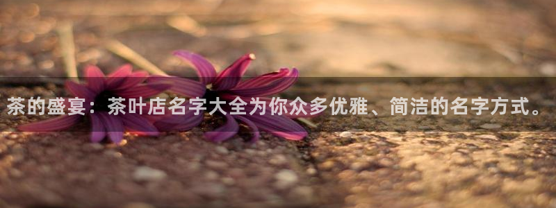 鸿运通贷款平台
