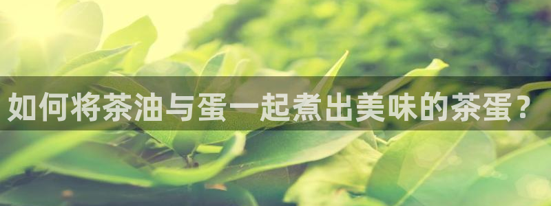 鸿运服务平台是什么