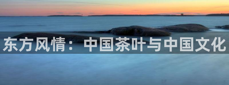 鸿运体育平台网址是什么