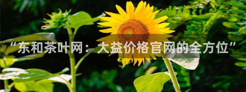 鸿运网938777平台