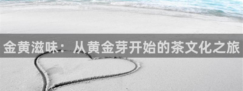 彩票鸿运网登录平台