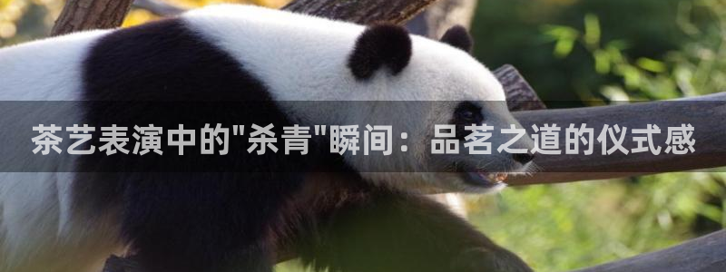鸿运娱平台