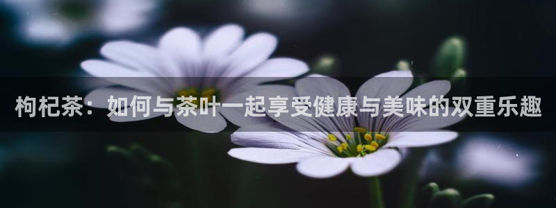 鸿运当头平台抽奖