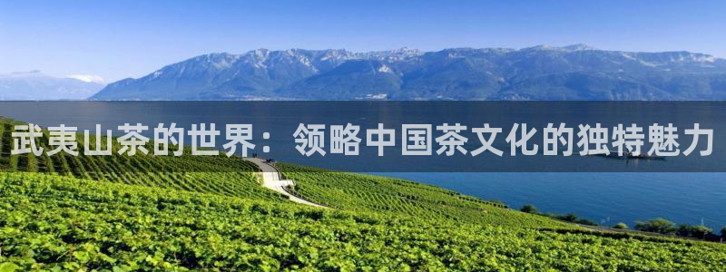 辣椒鸿运权威彩票平台