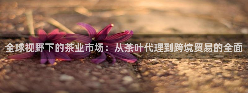 鸿运主播平台