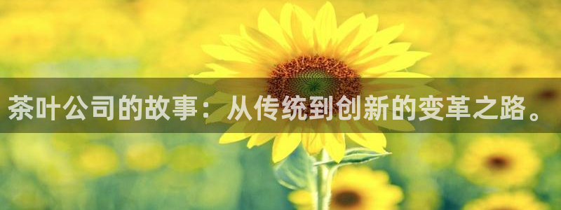 琥珀鸿运平台多久了