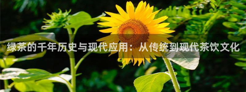 鸿运跑分平台