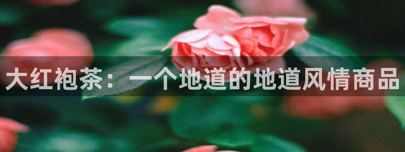 2018鸿运平台