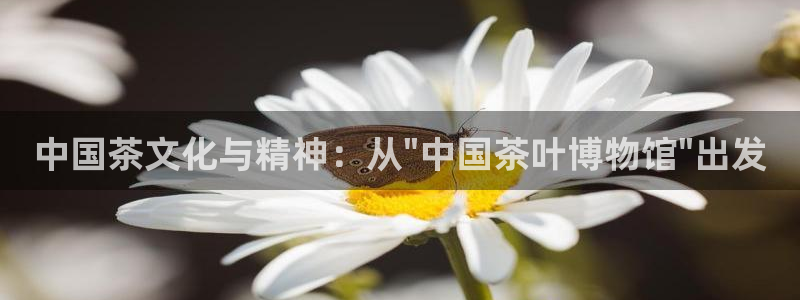 鸿运集团平台招聘要求