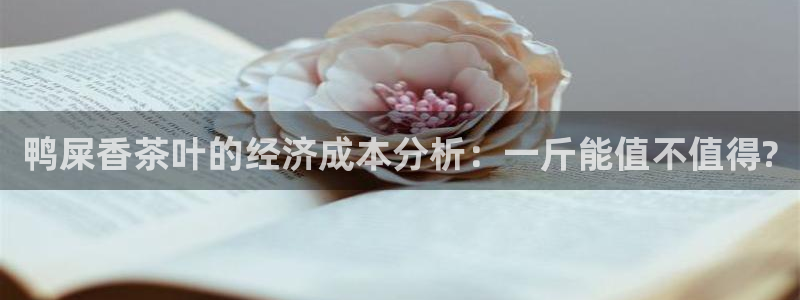 鸿运体彩平台