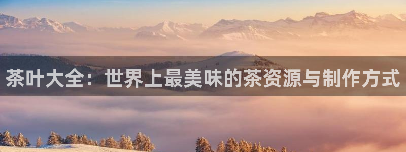 鸿运网登录平台