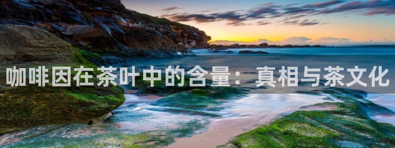 鸿运平台网投