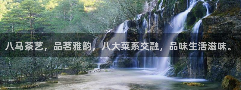 鸿运食品直播平台