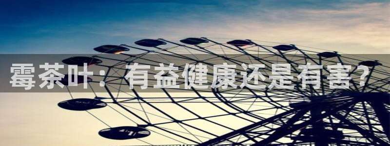 鸿运平台刷投注