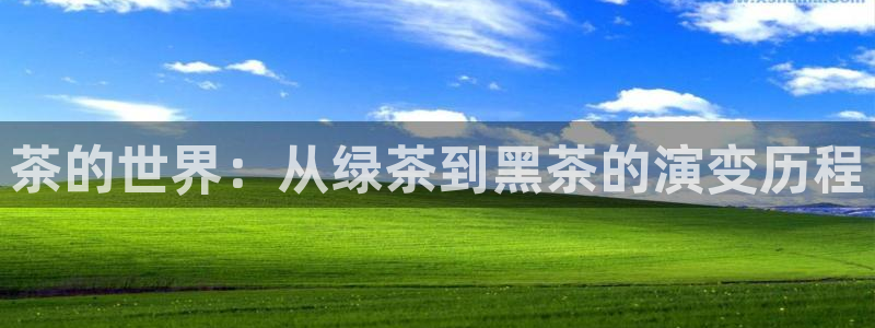 鸿运信息发布平台