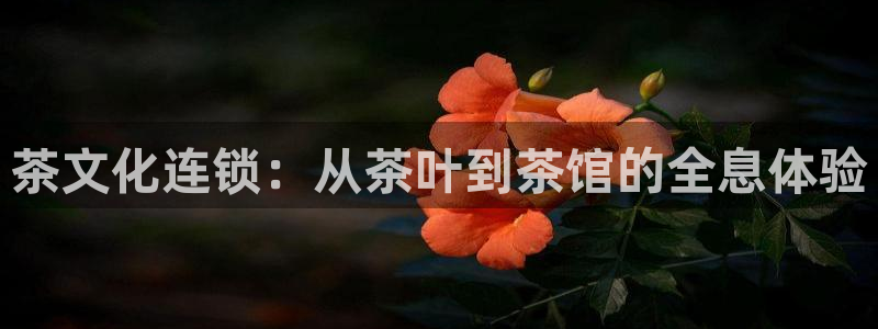 鸿运达出票平台