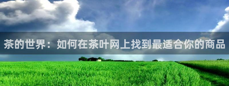 手机版鸿运平台