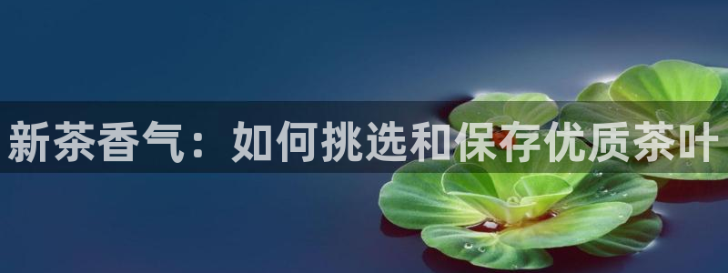 鸿运网投平台