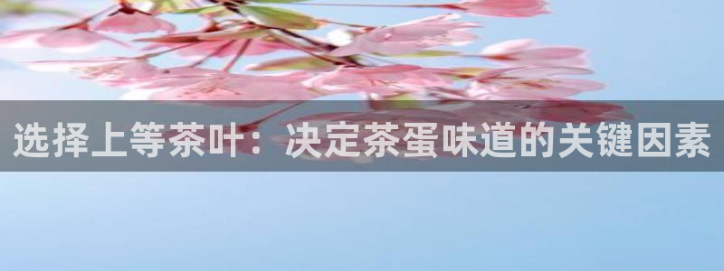 手机版鸿运平台