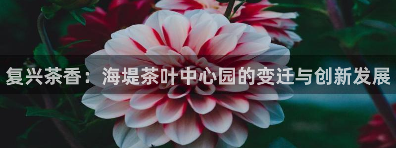 鸿运金融平台