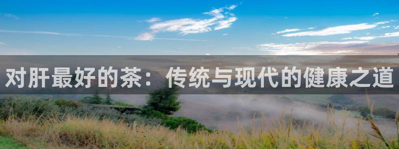 被鸿运平台骗