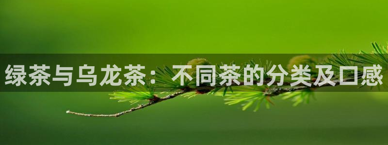 鸿运兄弟创造平台