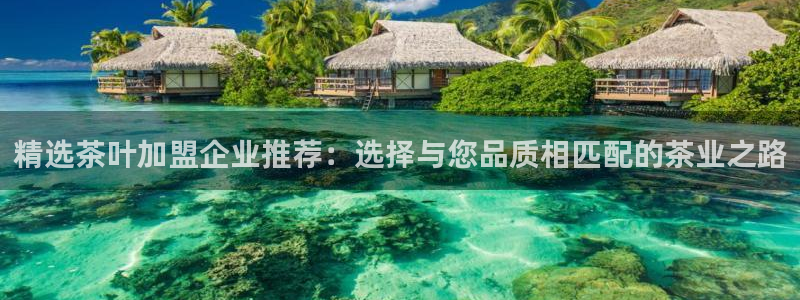 鸿运茶销售平台