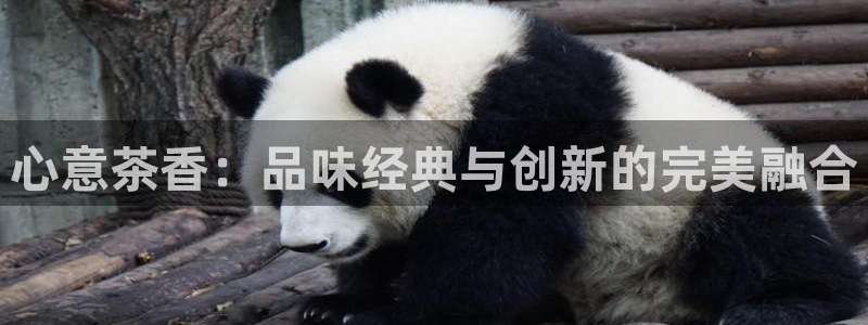 鸿运食品团购平台
