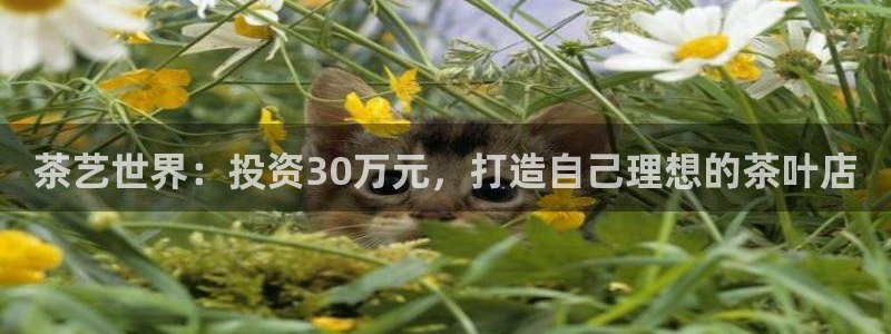 大发鸿运平台网址