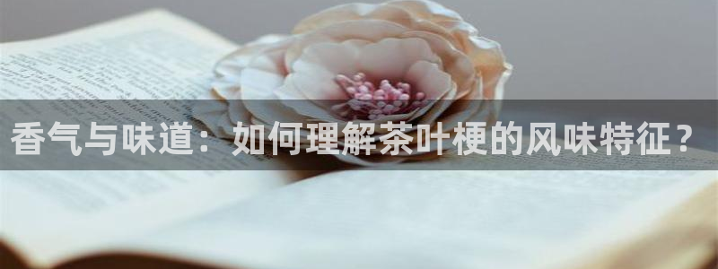 鸿运彩票平台下载