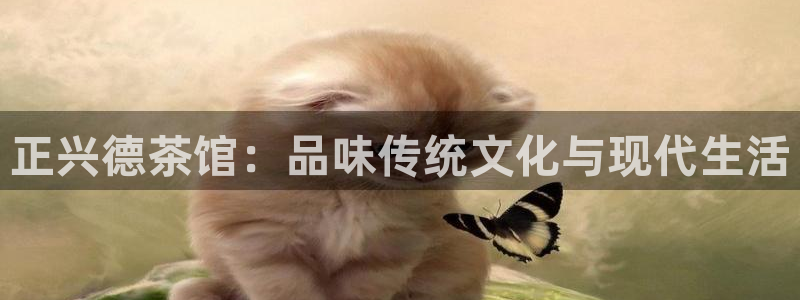 鸿运平台刷投注