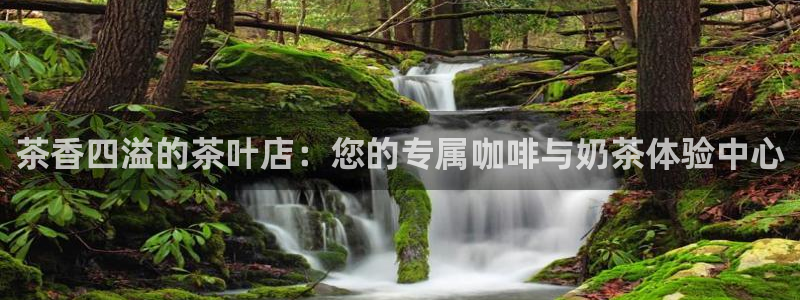 鸿运满堂平台