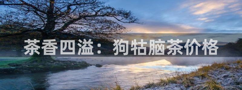 鸿运平台代理理