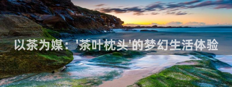 鸿运是黑平台吗