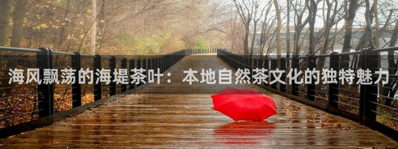 鸿运连锁管理平台
