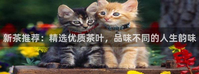 鸿运平台垫付任务