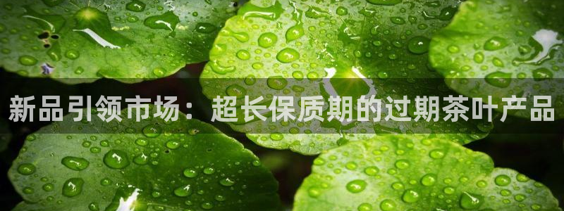 鸿运当头平台好吗