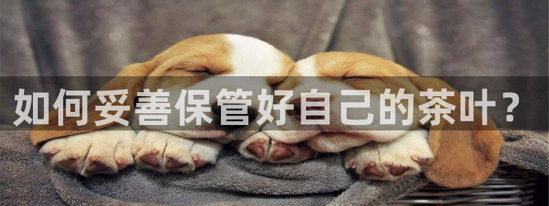 鸿运美食团购平台