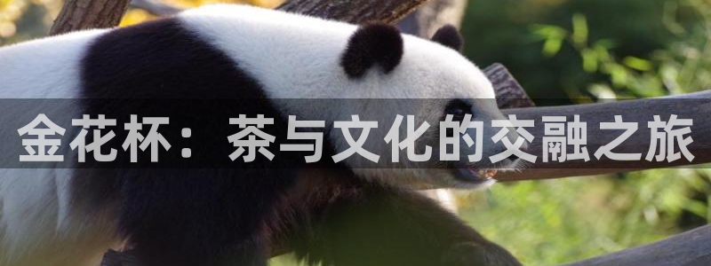 鸿运投注平台