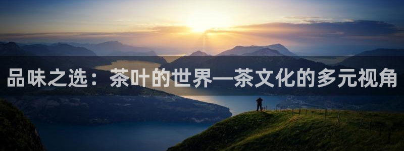 鸿运聊天计划平台