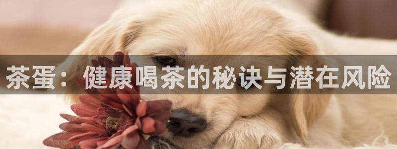 鸿运游戏下载平台