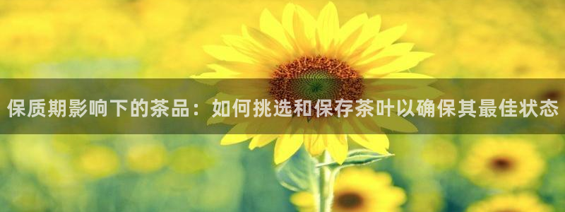 鸿运购平台